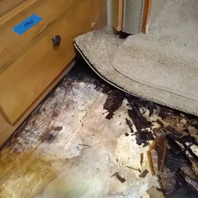 Wood Floor Water Damage in Calhoun Falls, SC